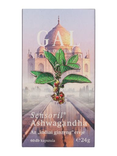 Gal indiai ginzeng kapszula - 60 db